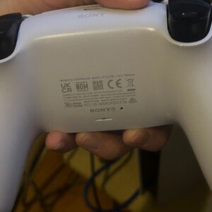 Sony DualSense Controller in White and Black